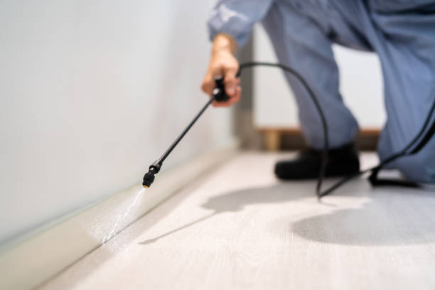 Licensed Cockroach Control service in Gettysburg, SD - Nex Pest Control