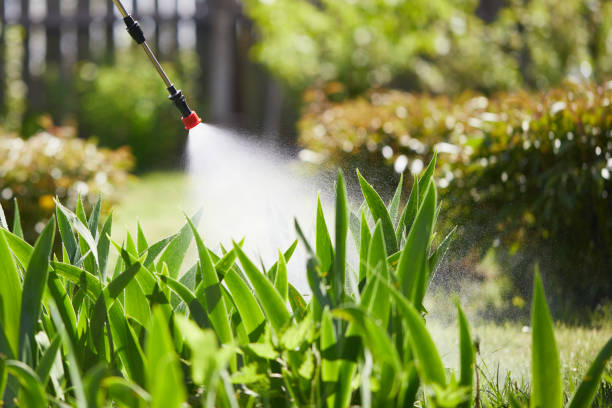 24/7 Emergency Cockroach Control experts in Gettysburg, SD