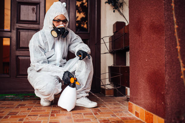 Reliable Cockroach Control contractor in Gettysburg, SD by Nex Pest Control